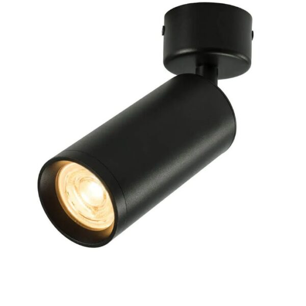 ceiling-mounted light fixture round black