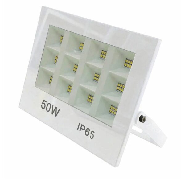 LED flood lighting AC 50W QUEEN white cold light