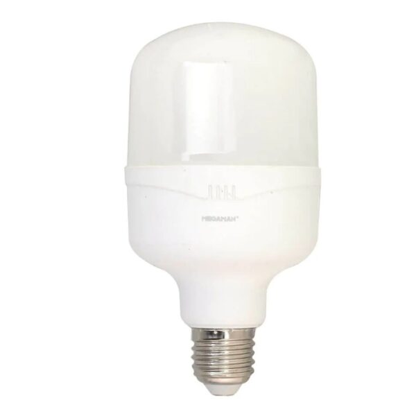 T 20W bulb - daylight