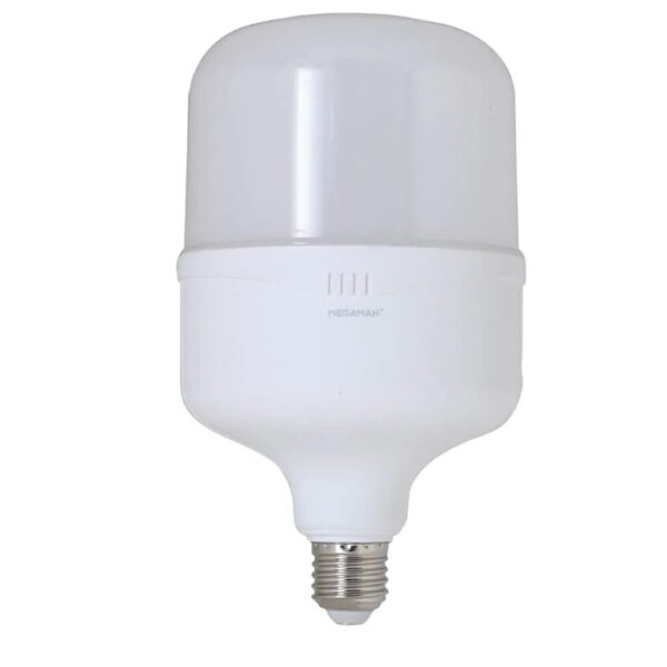 30W E27 T daylight bulb