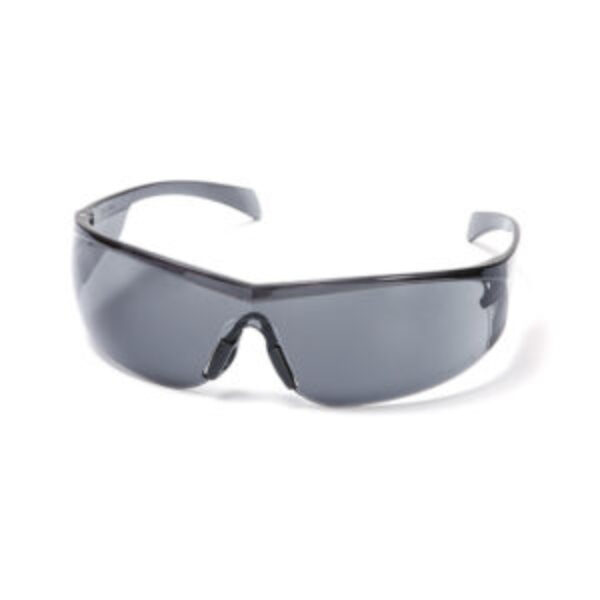 SIGNET dark lens goggles